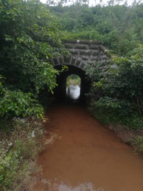 istock The bridge view with the full of water 2168095586