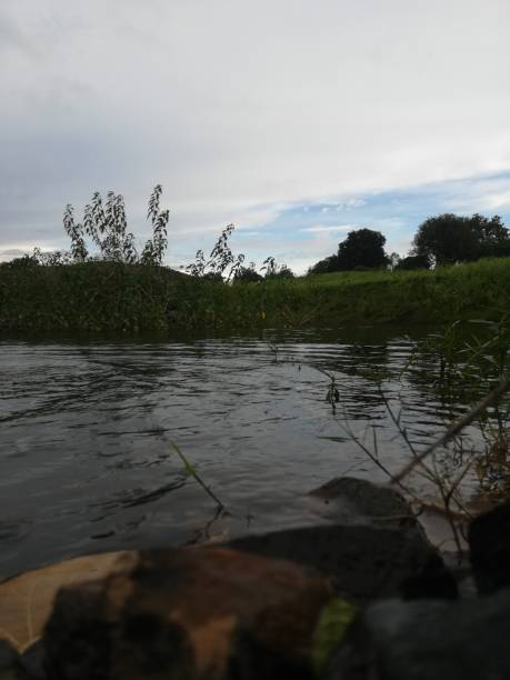 The sallow water pond view in the field and the grass