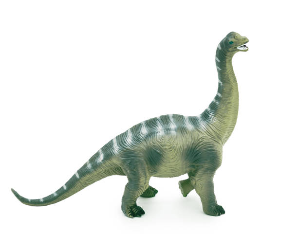 istock plastic toy dinosaur isolated on white 2168096931