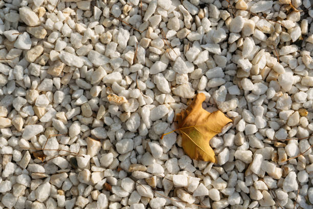 A white gravel stone pattern, perfect for backgrounds, textures and construction related themes.