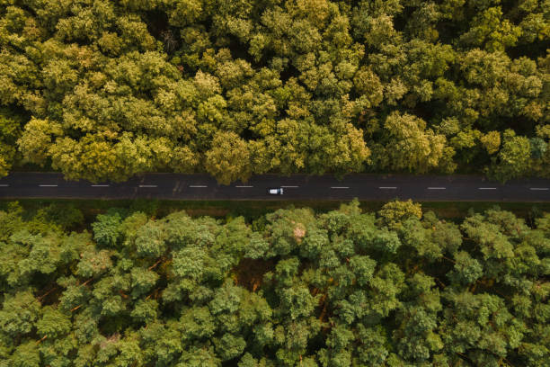 istock Aerial view of a forest road with vehicle 2168099574