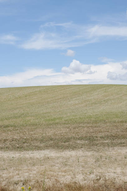istock Scenic view of coastal Tuscany in spring 2168102129