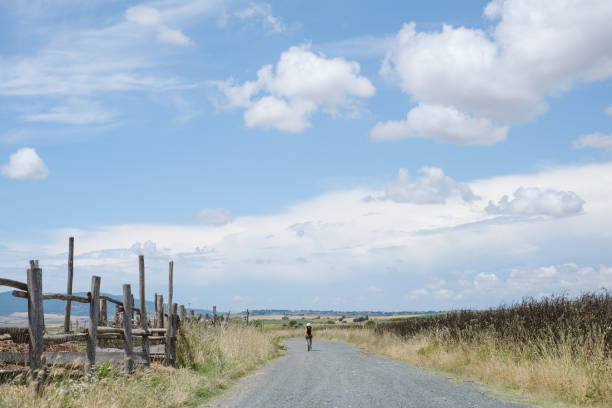 istock Young woman bicycles down rural road 2168102303