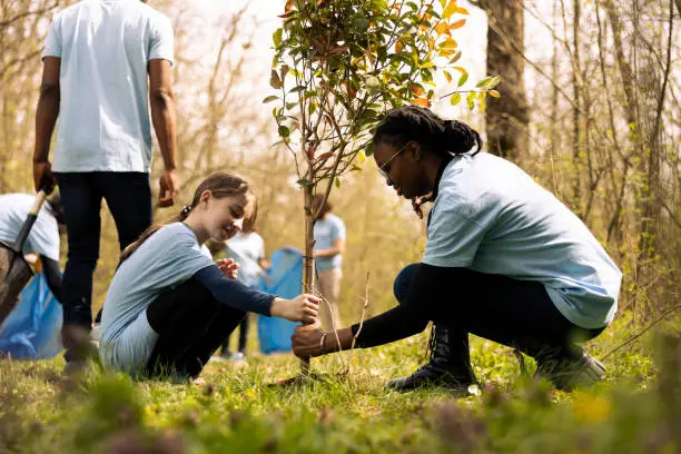 Two diverse activists working together to plant more trees and greenery Two diverse activists working together to plant more trees and greenery