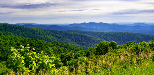 Shenandoah National Park: Rangeview Overlook along the Skyline Drive