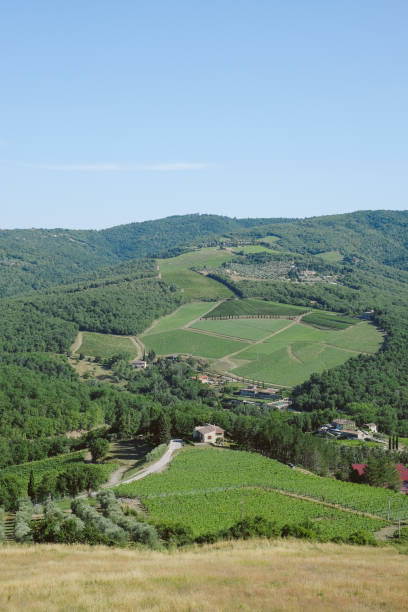 istock Elevated view of vineyards in springtime, Tuscany 2168106816