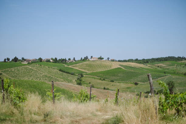 Elevated view of vineyards in springtime, Tuscany, bike packing from the hills of Poggibonsi to the vineyards of Castellina in Chianti and Radda in Chianti