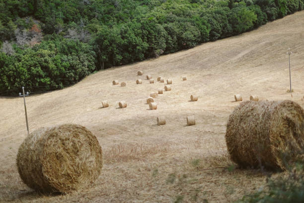 Bike packing from Volterra crossing through the countryside to San Gimignano, Tuscany