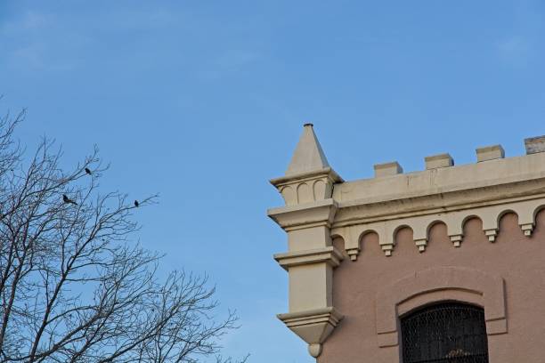 istock Birds on bare branches beside old Presidio county jailhouse rooftop 2168108570