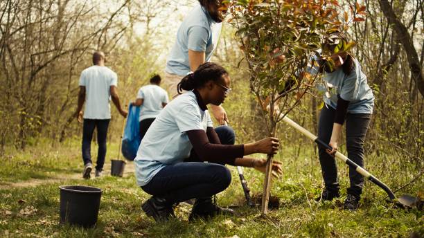 istock Diverse climate change activists work to plant trees in the woods 2168111374