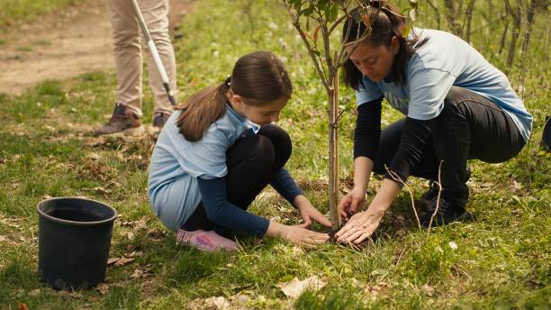 Free picture: children, learn, planting, trees