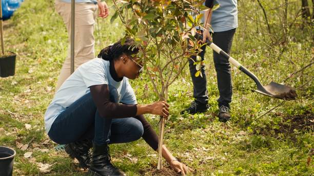 istock Diverse climate change activists work to plant trees in the woods 2168111500