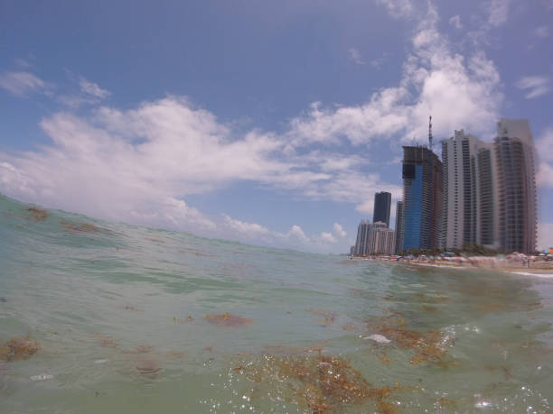 New York skyscrapers and big wave on the coast