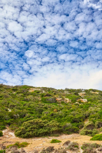 The wilderness of Cape Point National Park, Western Cape, South Africa
