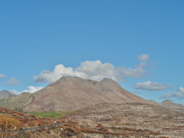 Mountain wilderness - Western Cape