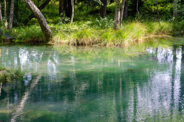 istock Tranquil Pond Surrounded by Lush Green Trees with beautiful turquoise water. 2168116769