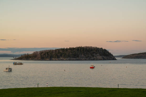 A view of a harbor with boats anchored in the calm water. A wooded island sits in the distance. A grassy area sits in the foreground, and the sky is painted with the colors of a beautiful sunset.
