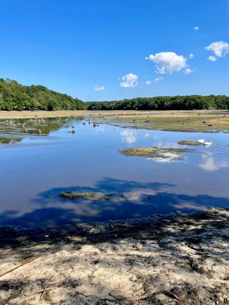 istock Stump Pond and the destroyed dam, Blydenburgh Park in Smithtown,  after devastating rain and flooding from Hurricane Ernesto on August 19, 2024 which dropped 12 inches of rain in a few hours. 2168118469