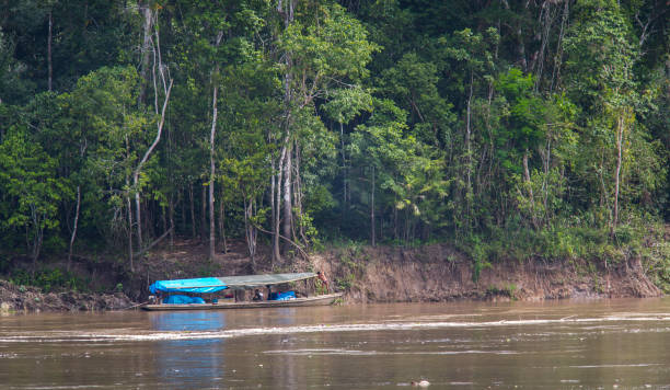 istock Boat Docked Along the Amazon Riverbank 2168125517