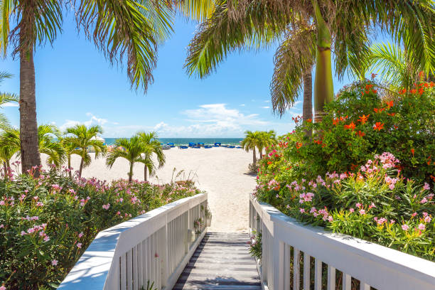 istock Boardwalk on beach in St. Pete, Florida, USA 2168127437