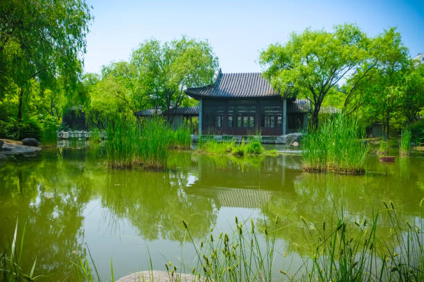 istock Serene Pond in a Garden: A Tranquil Nature Retreat 2168127572