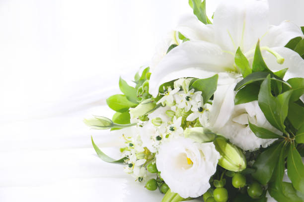 Flower, carnation, white, bouquet