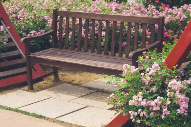 istock Charming Bench in a Rose Garden: A Serene Floral Escape 2168129237