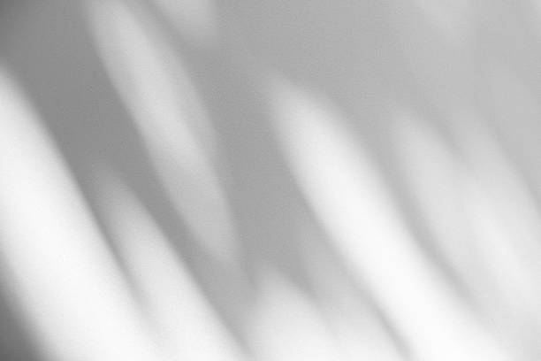 istock Studio style background wall decoration presentation uses white tones. with shadows cast from a nearby window, concept creating a decorative backdrop. 2168131741