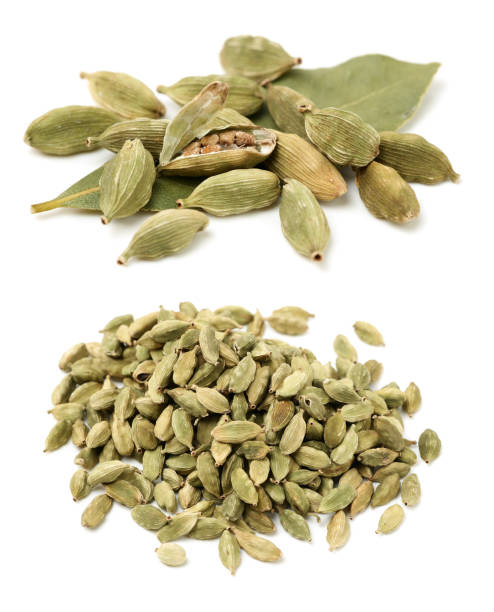 istock Green cardamom pods 2168132225