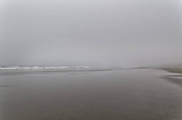 British Columbia's west coast