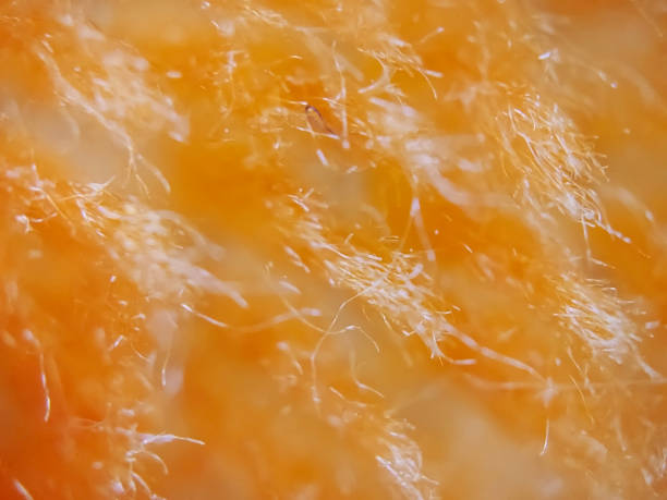 Super macro photography of carpet fabric