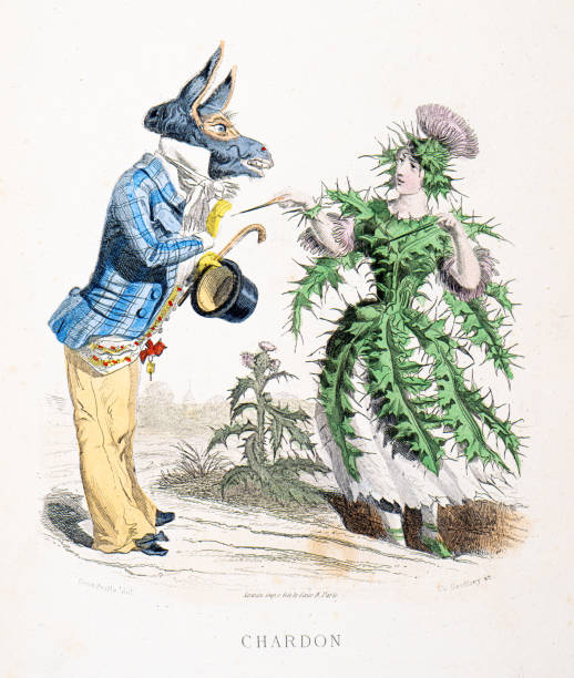 Stunning Hand-colored plate from 