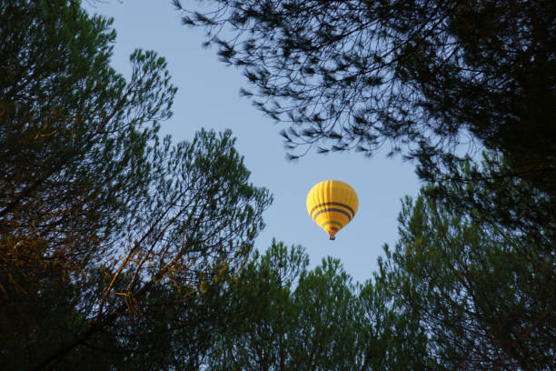 istock hot air balloon in flight seen through the trees 2168140159