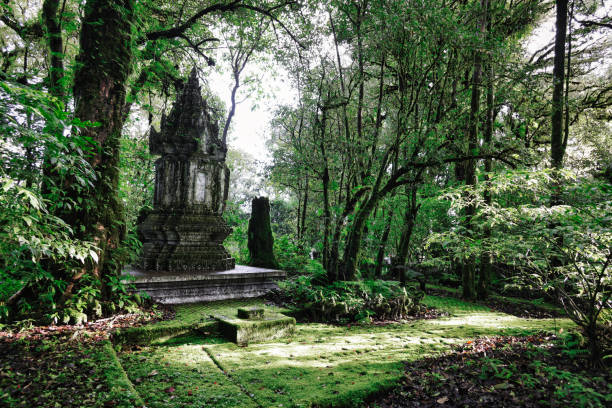 istock Doi Inthanon National Park 2168145001