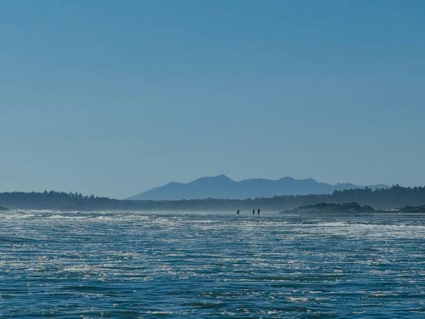 istock Surfers in Tofino 2168145285
