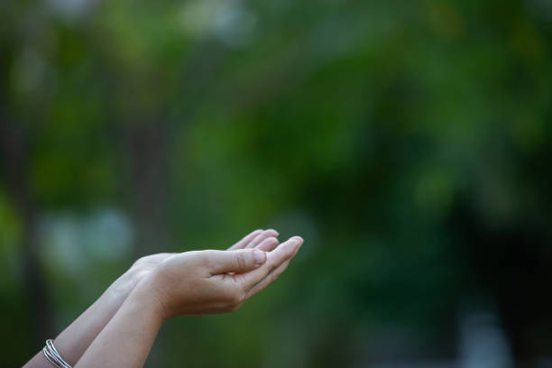Woman open hand up to sunset sky and green blur leaf bokeh sun light abstract background. Vintage tone filter effect color style.