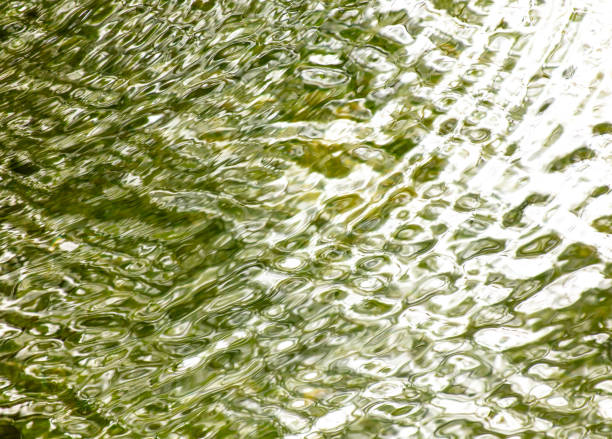 Circles on the surface of water in nature. Abstract background.