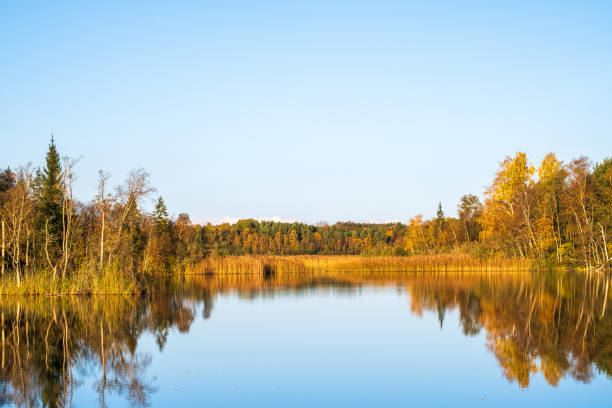 istock Tranquility by a lake with autumn colors 2168149278