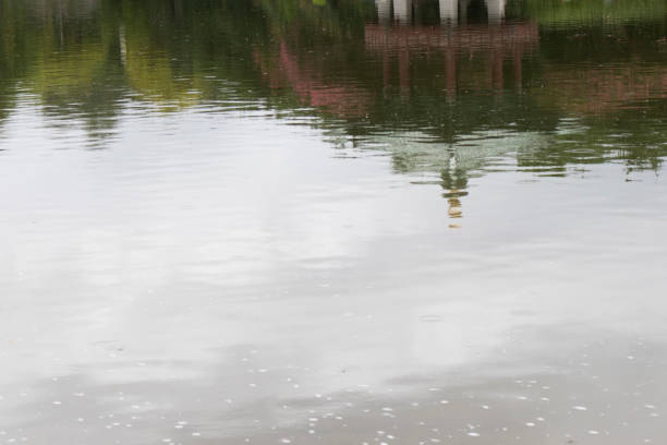 The pavilion and trees are reflected in the calm pond.     .