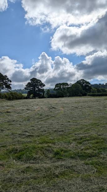istock Mowed grass field in united kingdom 2168155460