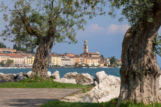 istock Ancient olive trees and rugged boulders offer a natural frame to the scenic waterfront of Salo on Lake Garda, showcasing its historic architecture and lively marina 2168156094
