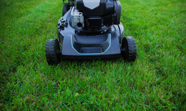 istock Close up image lawn mower sits on a freshly cut lawn, ready for use in a well-maintained garden. Essence of outdoor maintenance, showcasing the tools essential for keeping a lawn in perfect condition 2168175908