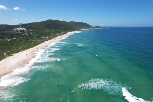 istock A view of Praia Mole, Mole beach, beachsin Florianopolis, Brazil 2168187194