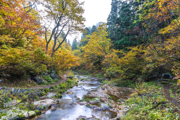 istock Ginzan Onsen in Autumn, Yamagata Prefecture 2168190508
