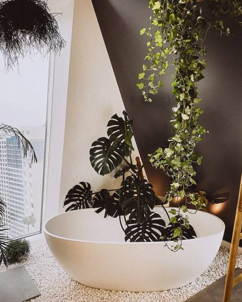 istock Interior of a modern bathroom with a white bathtub, plants and window 2168197525