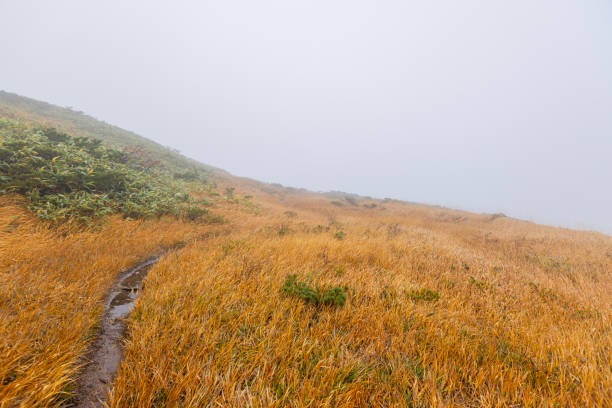 Mount Kurikoma: Spectacular Autumn Scenery