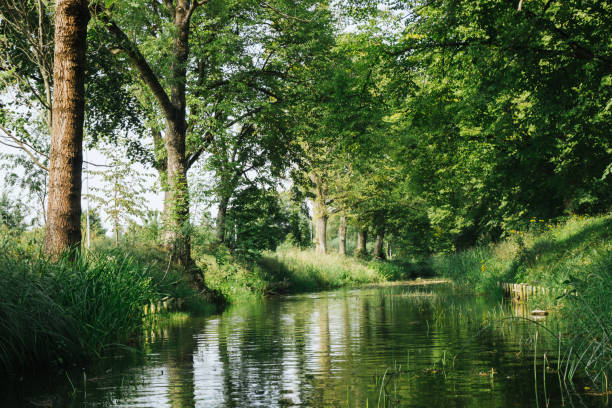 istock Paddling a kayak down a tranquil river surrounded by lush green forest. View from the water. 2168207302