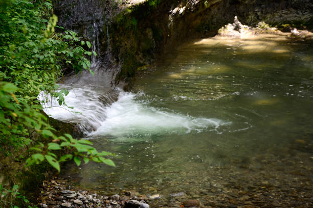 A small waterfall flows in the forest into a calm river near the trees. Natural landscape. Long exposure