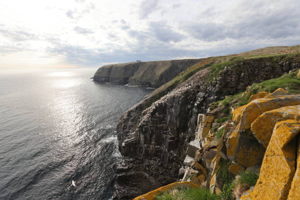 istock Cliffs at the Gannet Colony at Cape St. Mary's Ecological Reserve, Avalon, Newfoundland 2168212347