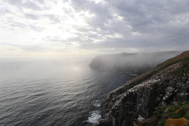 istock Cliffs at the Gannet Colony at Cape St. Mary's Ecological Reserve, Avalon, Newfoundland 2168212407